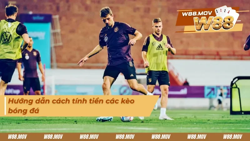 Tìm hiểu cách tính tiền thắng thua bóng đá